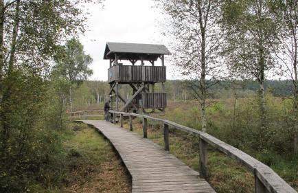 Ferienwohnung Fasse - Foto 30