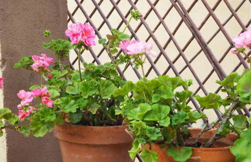 Casa De Nohales - Foto 24