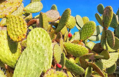 Fortezza Villa Azzurra - Foto 36