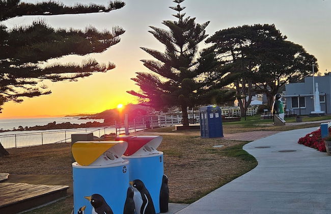 Penguin Retreat - Photo 35