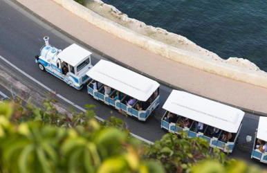 Ô république - Photo 14