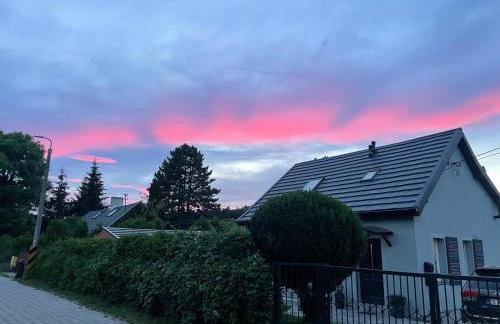 Dzika Foka Wiosłowa 49 - Photo 1