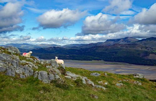 Bryn Melyn Apartments - Foto 128