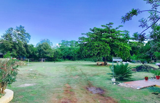 BAGOS ECO RETREAT & CAFE - Photo 27