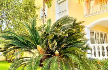 Beach Penthouse Apartment - Foto 14