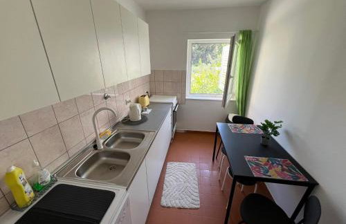 Apartman ZZ - Photo 21
