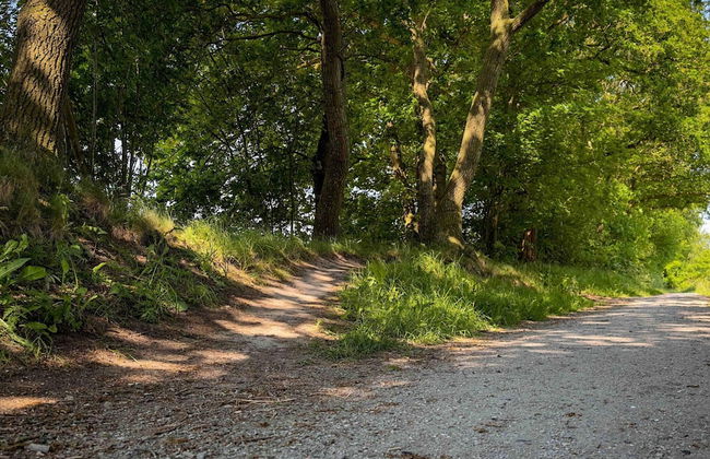 Holiday Home in Friesland Near Canal & Lake - Foto 39