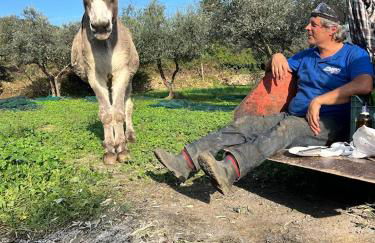 Margherita Holiday Home - Foto 64