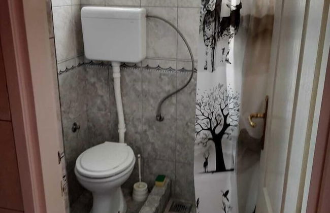 Apartments Lazović - Foto 23