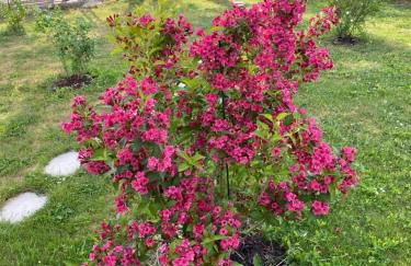 Domaine Nature Vacances - Foto 29