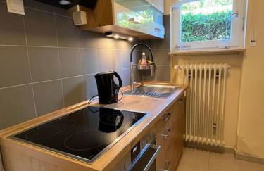 City Chillout Heidelberg Appartement with Sauna & Pool - Foto 18