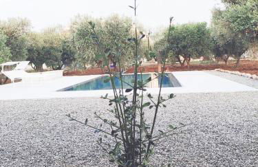 Olive trees house - Foto 6