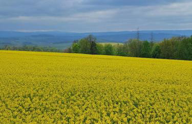 Przy pałacu - Foto 37
