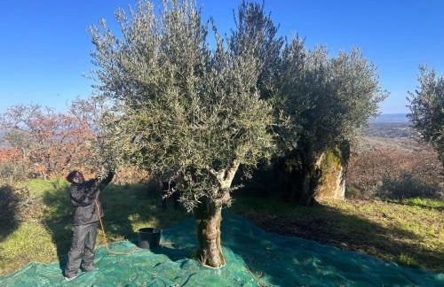 Art-Marvão, Alojamento Rural - Foto 40