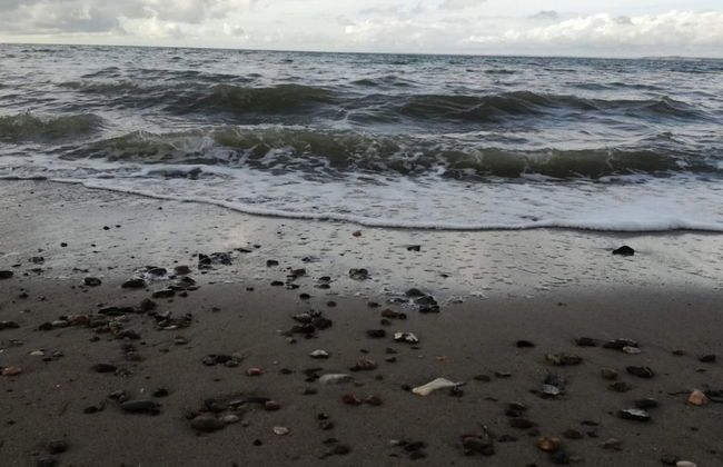 Renovated Cottage by Toftum - By Traum Ferienwohnungen - Photo 51