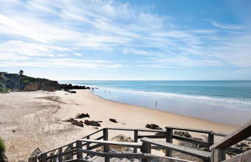 El Mirlito - Photo 5