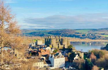 The View on Castle Hill with Lovely Hot Tub - Foto 24