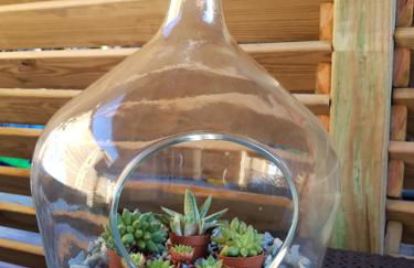 Appart Bleu Azur Piscine chauffée - Foto 15