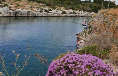 Trinacrie Home's - Foto 11