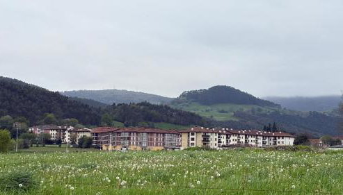Marismas de Cantabria cerca de Laredo - Foto 3