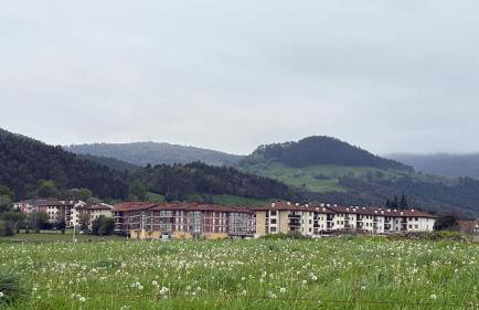 Marismas de Cantabria cerca de Laredo - Foto 3
