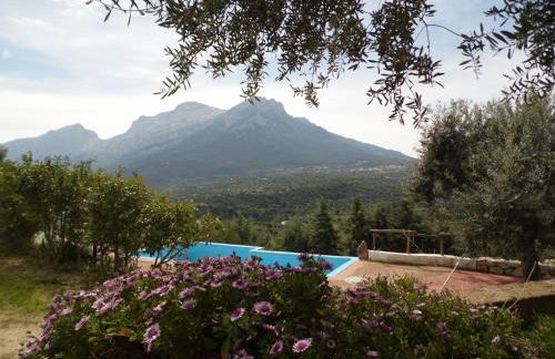 Villa L'Oleandro - Foto 7