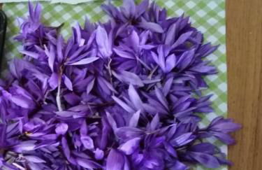 Alloggio Casale Stella - Foto 46