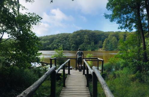 Ferienwohnung Rügen - Foto 15