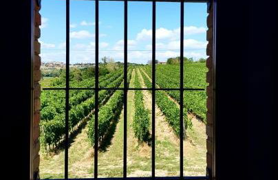 Agriturismo Il Divin Casale - Foto 7