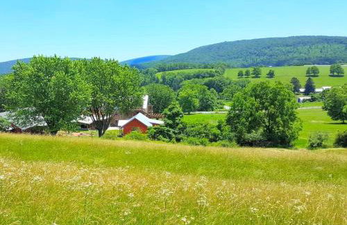 Bright and Spacious Vacation Rental near Catoctin Mountain Park, Maryland - Foto 26