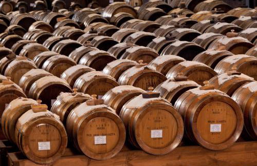 Agriturismo Acetaia Sereni - Photo 56