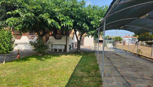 Spyros comfy and cool place - Foto 5, Garden, Garden view