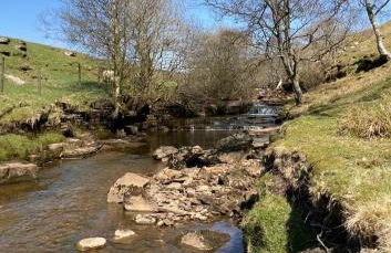 Our Holiday House Yorkshire , Bentham - Children and doggy friendly - Foto 25