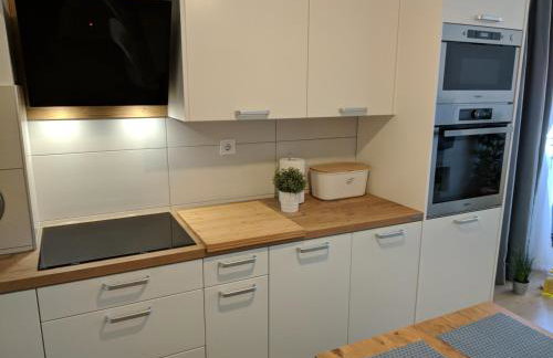 Romana Soul - Foto 8