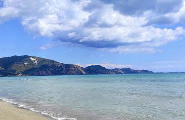 Zen Apartments - Photo 52