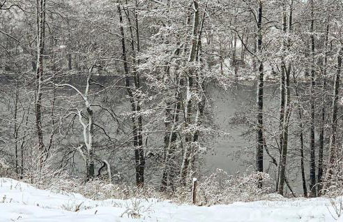 Nice Home In Insko With Sauna - Foto 25