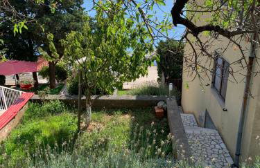 Apartment Ivanka - Foto 24