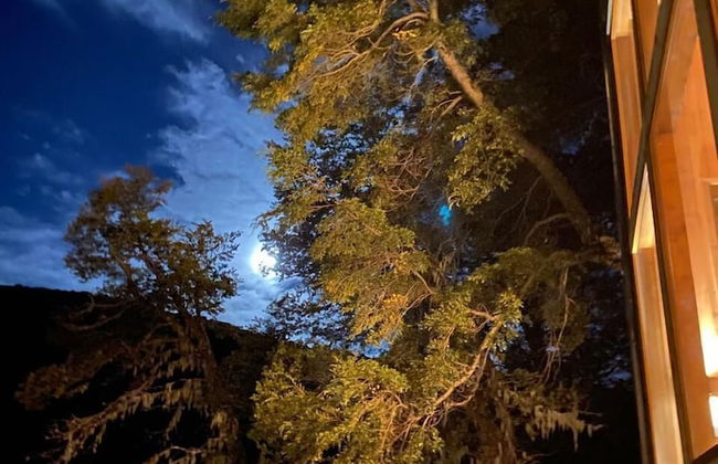 Rincon del Bosque - Foto 22