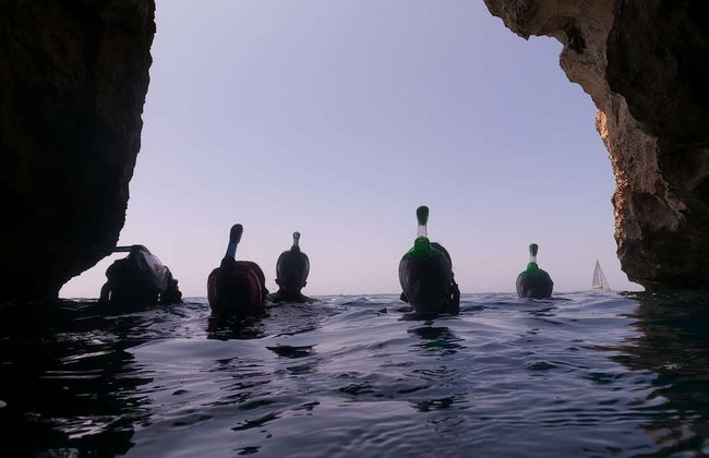 Snorkel en Cala en Brut - Foto 5