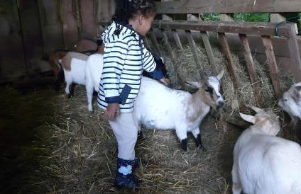 Gîte de Carguillet - Photo 30