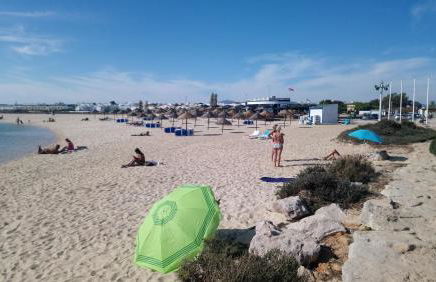 Residence 1000 Roses - Foto 25