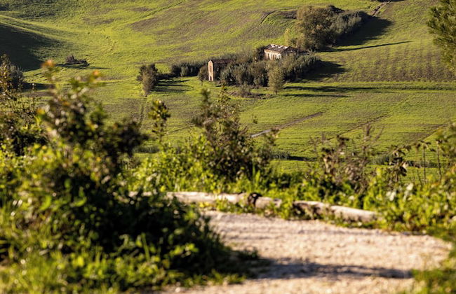 Colle Alberti Country House - Foto 79