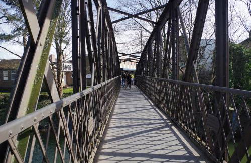 Chandeliers 6 - Photo 39