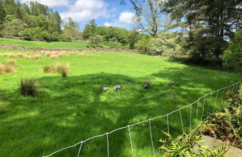 Beautiful Detached Farm House Near Lake Coniston - Pass the Keys - Photo 53