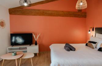 Vina Rhona - Studio de charme tout équipé entre Rhône et Vignobles de Condrieu - Foto 36