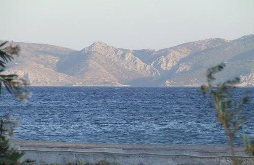 Ktima Develekou - Foto 48