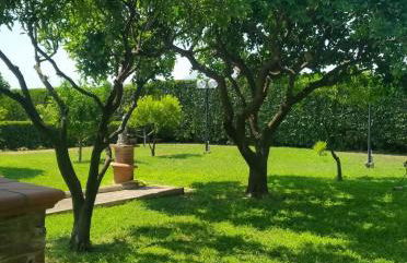 Da Ninnilla Holiday Home Scafati - Foto 49