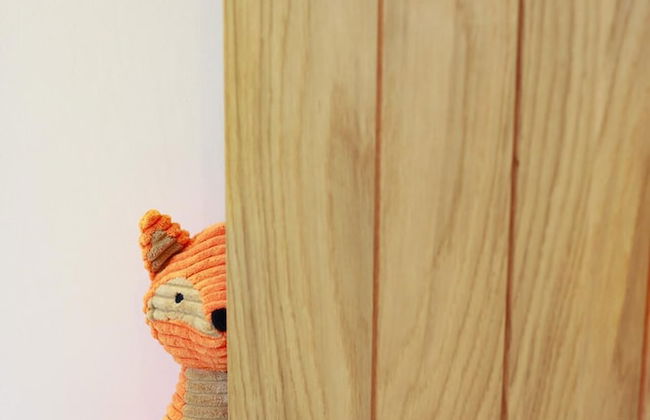 Luxury Thatched Country Cottage - Dartmoor, Devon - Foto 2