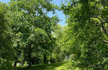Die grüne Bleibe im Pfälzer Wald - Foto 20