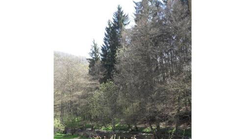 Main building Neumühle - Foto 3, Other